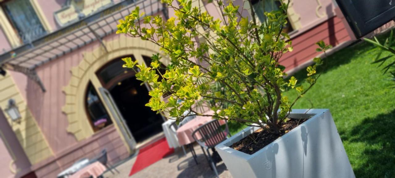 Hotel Villa Regina Margherita Rovigo Exterior foto